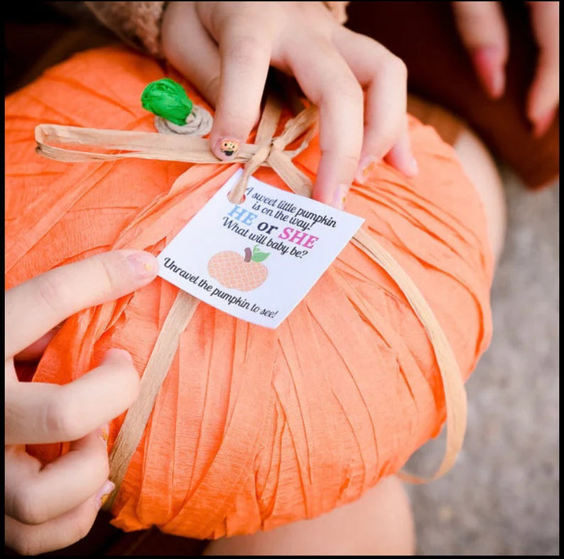 Gender Reveal Pumpkin Surprise Ball