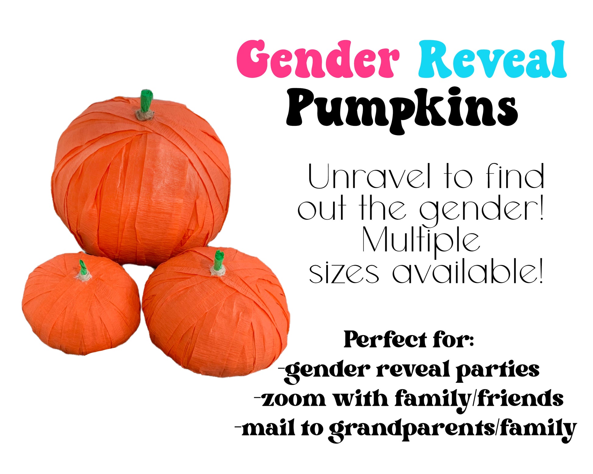 Gender reveal pumpkins, multiple sizes available in small, medium and large. 